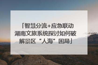 智慧分流+应急联动 湖南文旅系统探讨如何破解景区“人海”困局