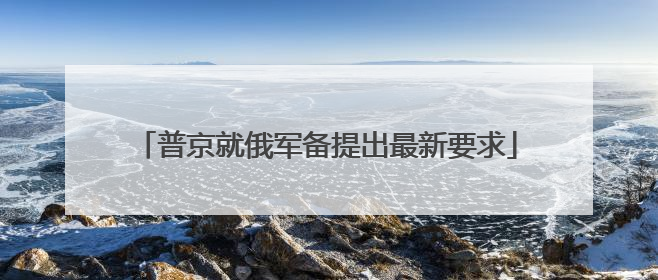 普京就俄军备提出最新要求