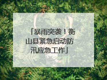 暴雨突袭！衡山县紧急启动防汛应急工作