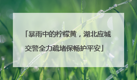 暴雨中的柠檬黄，湖北应城交警全力疏堵保畅护平安