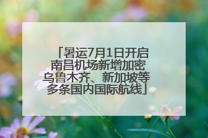暑运7月1日开启 南昌机场新增加密乌鲁木齐、新加坡等多条国内国际航线