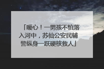 暖心！一男孩不慎落入河中，苏仙公安民辅警纵身一跃硬核救人