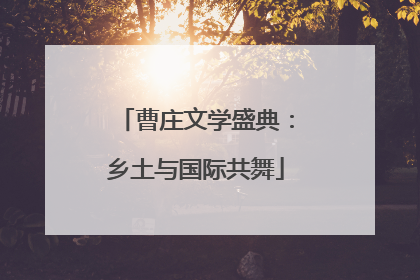 曹庄文学盛典：乡土与国际共舞