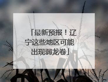 最新预报！辽宁这些地区可能出现弱龙卷