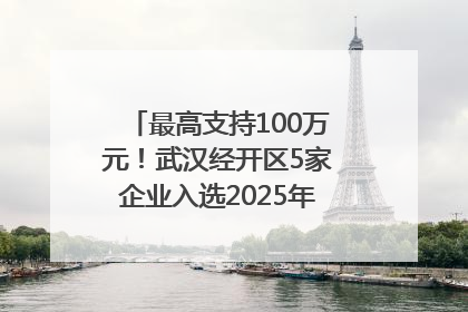 最高支持100万元！武汉经开区5家企业入选2025年度武汉市重点研发计划拟立项项目名单
