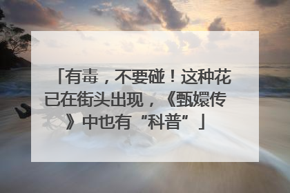 有毒，不要碰！这种花已在街头出现，《甄嬛传》中也有“科普”