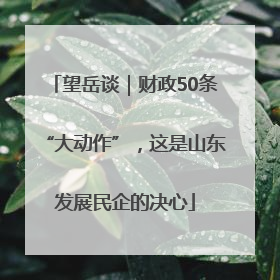 望岳谈｜财政50条“大动作”，这是山东发展民企的决心