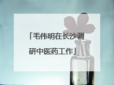 毛伟明在长沙调研中医药工作