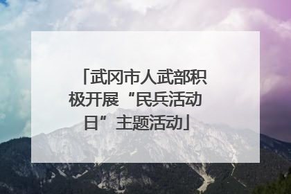 武冈市人武部积极开展“民兵活动日”主题活动