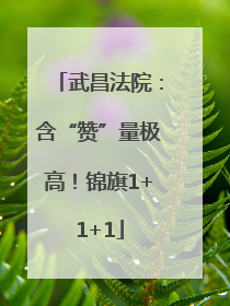 武昌法院：含“赞”量极高！锦旗1+1+1