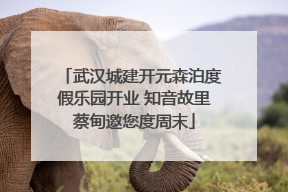 武汉城建开元森泊度假乐园开业 知音故里蔡甸邀您度周末