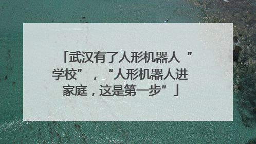 武汉有了人形机器人“学校”，“人形机器人进家庭，这是第一步”