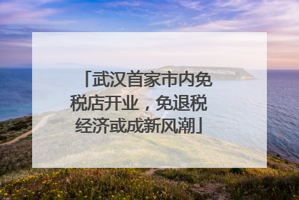 武汉首家市内免税店开业，免退税经济或成新风潮