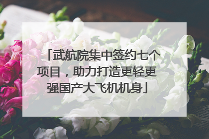 武航院集中签约七个项目，助力打造更轻更强国产大飞机机身