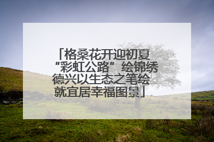 格桑花开迎初夏 “彩虹公路”绘锦绣 德兴以生态之笔绘就宜居幸福图景