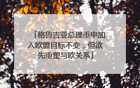 格鲁吉亚总理重申加入欧盟目标不变，但欲先重塑与欧关系