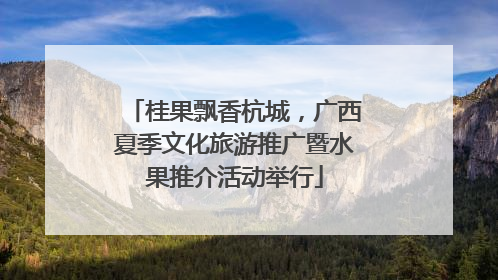 桂果飘香杭城，广西夏季文化旅游推广暨水果推介活动举行