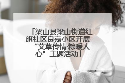 梁山县梁山街道红旗社区良嘉小区开展“艾草传情·粽暖人心”主题活动