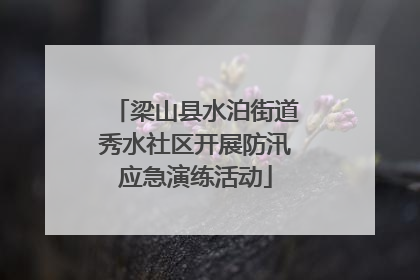 梁山县水泊街道秀水社区开展防汛应急演练活动