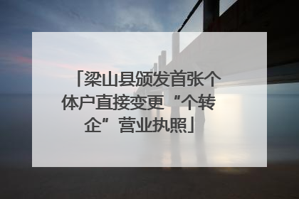 梁山县颁发首张个体户直接变更“个转企”营业执照