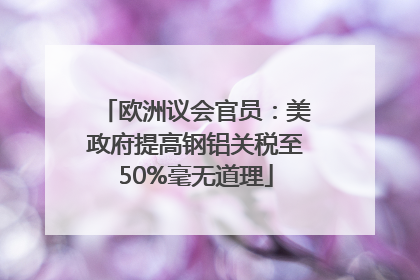 欧洲议会官员：美政府提高钢铝关税至50%毫无道理