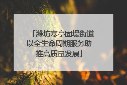 潍坊寒亭固堤街道以全生命周期服务助推高质量发展