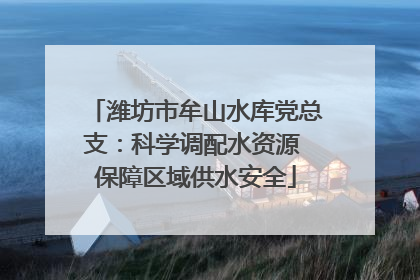 潍坊市牟山水库党总支：科学调配水资源 保障区域供水安全