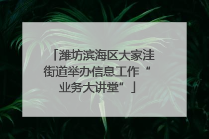 潍坊滨海区大家洼街道举办信息工作“业务大讲堂”
