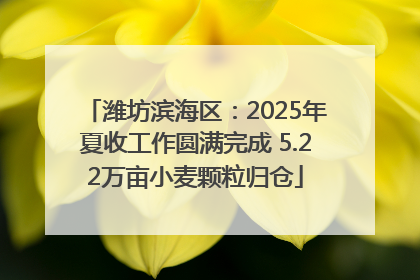 潍坊滨海区：2025年夏收工作圆满完成 5.22万亩小麦颗粒归仓
