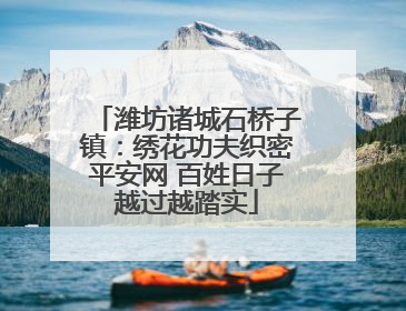潍坊诸城石桥子镇：绣花功夫织密平安网 百姓日子越过越踏实