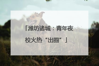 潍坊诸城：青年夜校火热“出圈”