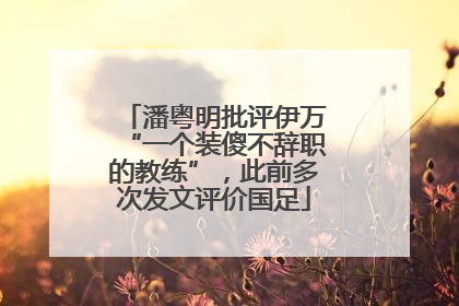 潘粤明批评伊万“一个装傻不辞职的教练”，此前多次发文评价国足