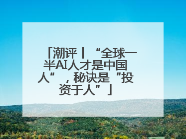 潮评丨“全球一半AI人才是中国人”，秘诀是“投资于人”