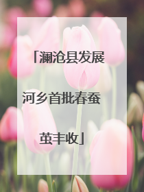 澜沧县发展河乡首批春蚕茧丰收