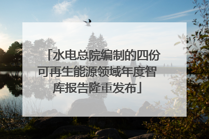 水电总院编制的四份可再生能源领域年度智库报告隆重发布