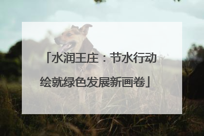 水润王庄：节水行动绘就绿色发展新画卷