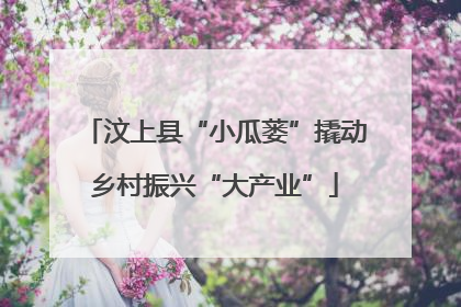 汶上县“小瓜蒌”撬动乡村振兴“大产业”