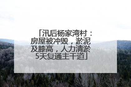 汛后杨家湾村：房屋被冲毁，淤泥及膝高，人力清淤5天复通主干道