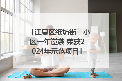 江夏区纸坊街一小区一年逆袭 荣获2024年示范项目