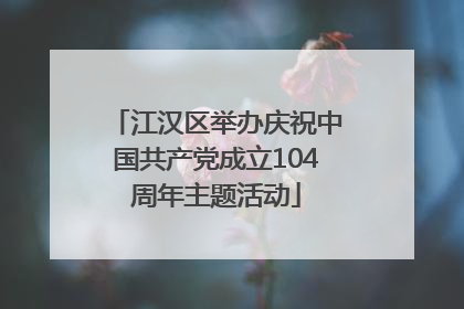 江汉区举办庆祝中国共产党成立104周年主题活动