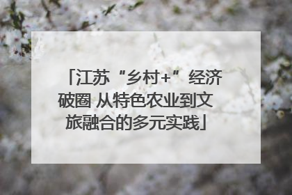 江苏“乡村+”经济破圈 从特色农业到文旅融合的多元实践