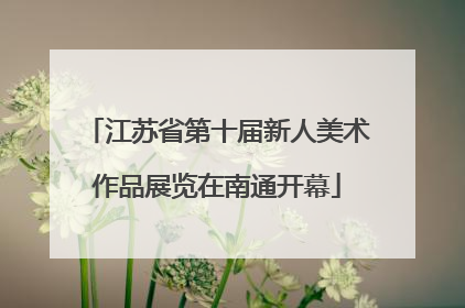 江苏省第十届新人美术作品展览在南通开幕