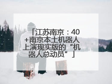 江苏南京：40+南京本土机器人上演现实版的“机器人总动员”