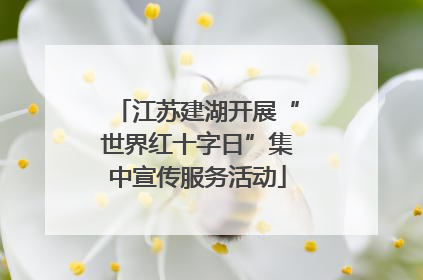 江苏建湖开展“世界红十字日”集中宣传服务活动