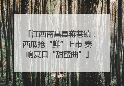 江西南昌县蒋巷镇：西瓜抢“鲜”上市 奏响夏日“甜蜜曲”