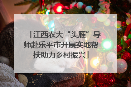 江西农大“头雁”导师赴乐平市开展实地帮扶助力乡村振兴