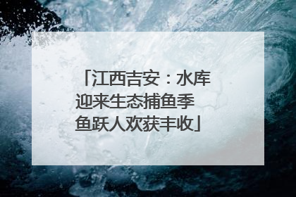 江西吉安：水库迎来生态捕鱼季 鱼跃人欢获丰收
