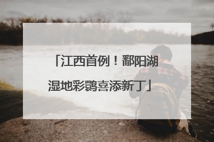 江西首例！鄱阳湖湿地彩鹮喜添新丁
