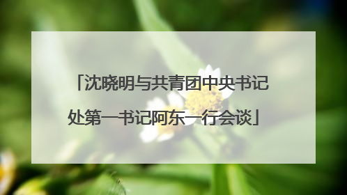 沈晓明与共青团中央书记处第一书记阿东一行会谈