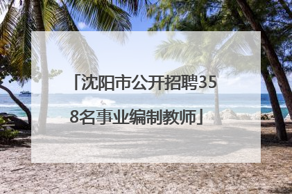 沈阳市公开招聘358名事业编制教师